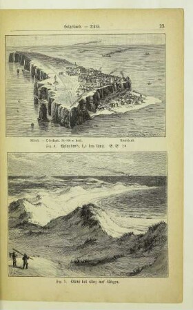 Düne bei Binz auf Rügen