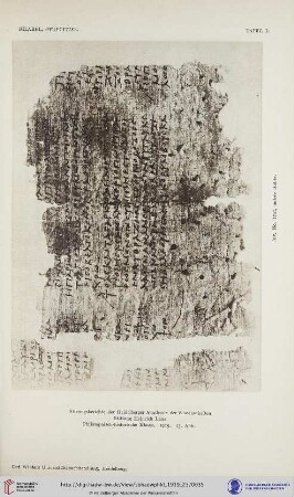 Tafeln I.-III.