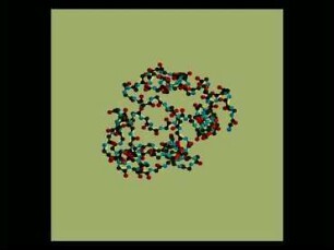 3D visualisation of molecules with RasMol