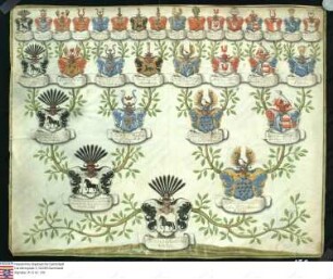 Ahnenprobe der Friederica Charlotta Grote(n), Pergament