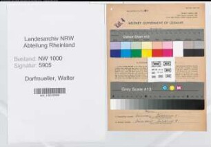 Entnazifizierung Walter Dorfmueller, geb. 07.10.1899 (Angest.)