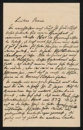 Brief 13: 31.12.1879