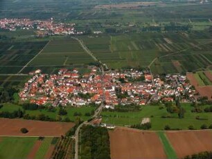 Venningen (Pfalz)