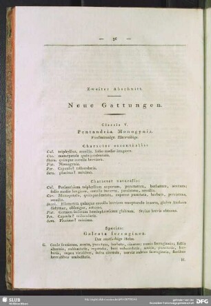 Zweiter Abschnitt. Neue Gattungen