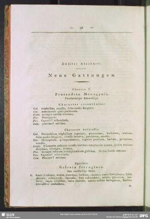 Zweiter Abschnitt. Neue Gattungen