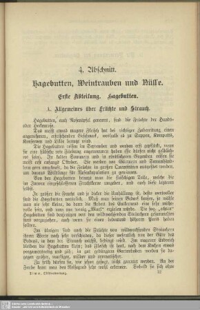 4. Abschnitt. Hagebutten, Weintrauben und Nüsse
