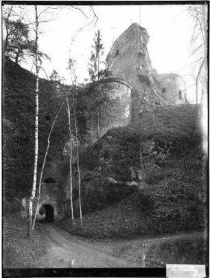 Hardenburg Burgruine Außenansicht