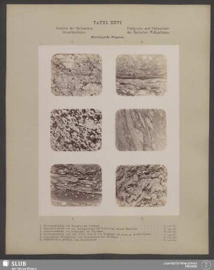 Gesteine des Sächsischen Granulitgebirges. Pfahlgneiss und Pfahlschiefer des Bairischen Waldgebirges