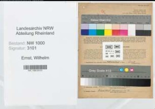 Entnazifizierung Wilhelm Ernst, geb. 22.05.1899 (Monteur)