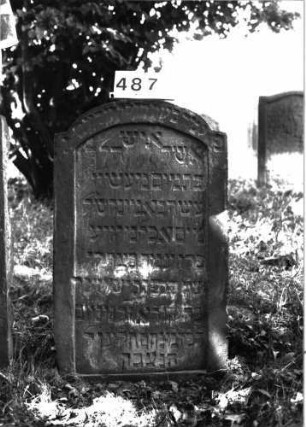 Grabstein 487