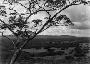 Landschaft in Sambia : Landschaftsaufnahme in Sambia. Im Vordergund eine bewaldete Ebene, von Grasflächen unterbriochen.