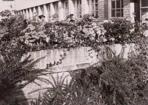 Hilversum. Mauer an einer Schule mit blühenden Blumen und Ziersträuchern
