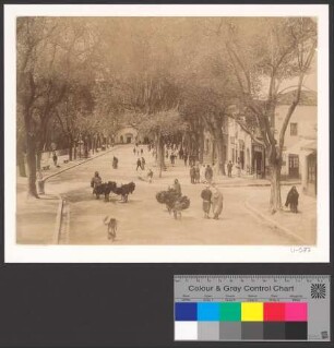 Promenade du Méchouar