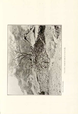 Plate XXX. Pa-ba-fu'-nan of a'-to Fi'-lig
