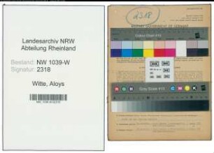 Entnazifizierung Aloys Witte , geb. 08.12.1894 (Lehrer)