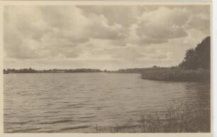 Postkarte, Soldin (Neumark)