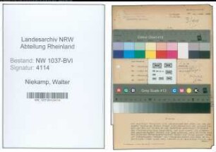 Entnazifizierung Walter Niekamp , geb. 01.05.1903 (Studienrat)