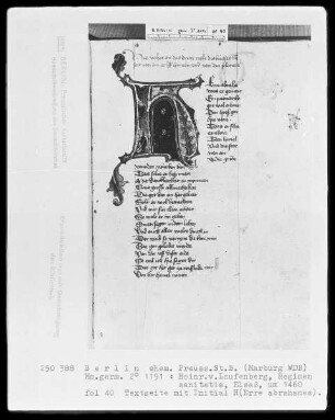 Heinrich von Laufenberg, Regimen sanitatis, deutsch — Initiale H (erre abrahamas), Folio 40recto