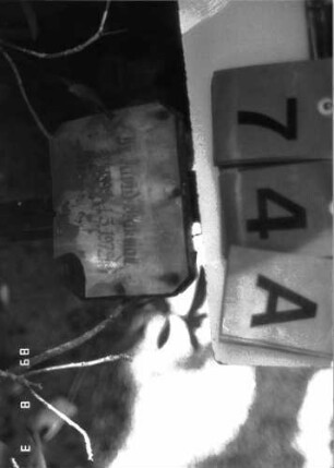 Grabstein 74 (Index: 100102191) Zustand: verwittert mit Textverlust Beschreibung: Stellvertreter: Grabstein 74A