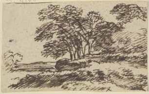 Landschaft mit hohen Bäumen