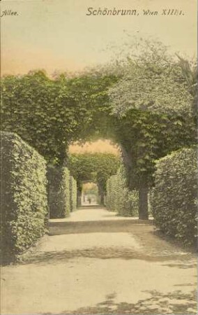 Allee. Schönbrunn, Wien XIII/I.