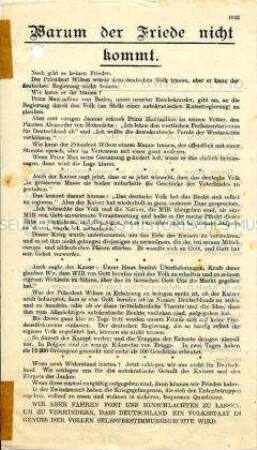Warum der Friede nicht kommt - Kritik an der deutschen Reichs- und Heeresführung und Aufruf zur Beendigung des Krieges