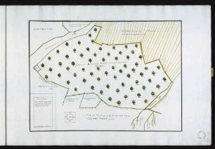 Blatt 5: "Verzaichnus des Holzes in den Hof, im hindern Dinkenthal genannt, gehörig"