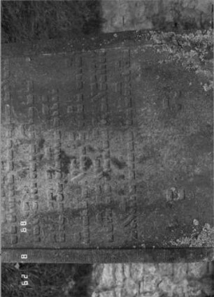 Grabstein 455 (Index: 100107997) Material: grauer Sandstein Zustand: stark verwittert und versalzen Maße HxBxT: 165x89x18 cm Beschreibung: Stele, Konvexbogenabschluß, Schriftfeld eingetieft: Grabstein 455A