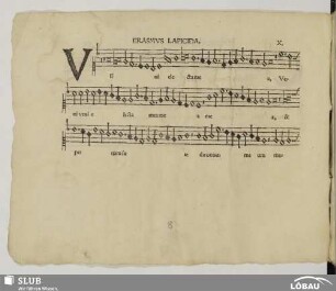 X. Lapicida, Erasmus: Veni electa mea
