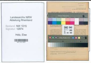 Entnazifizierung Else Holz , geb. 03.10.1906 (Bankangestellte)