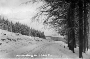 Winterlandschaft am Horizontalweg