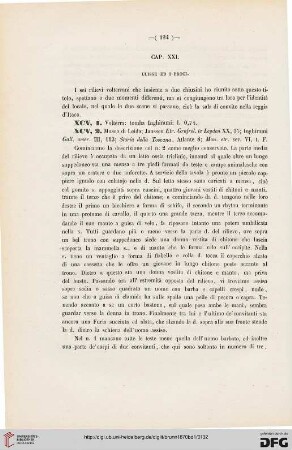 Cap. XXI: Ulisse ed i Proci