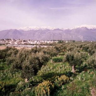 Peloponnes. Evrotas-Aue und Taygetos-Gebirge mit Blick auf Neu-Sparta
