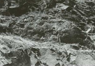 Plauenscher Grund, Ratssteinbruch