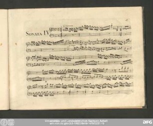 Sonata IV