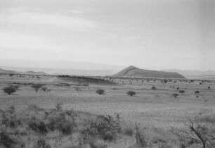 Im abessinischen Graben bei Metahara : Blick auf eine ebene Savannenlandschaft