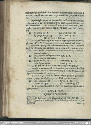 Caput XXIX [XXX]. Specifica validiora