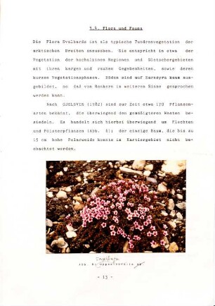 3.4. Flora und Fauna.