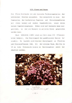 3.4. Flora und Fauna.