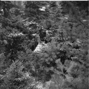 Rudolf Mauersberger (1889-1971; Kreuzkantor) mit Schülern in einem Waldstück