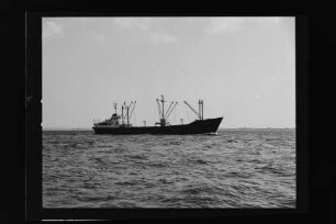 Lauter ex Siegfried (1960), Lauter-Elbe-Reederei/Hbg