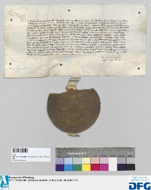 Kaiser Sigismund befiehlt der Stadt Nürnberg, dem Grafen Ludwig von Ötingen, seinem Rat und Hofmeister, 1000 fl. Reichssteuer für das Jahr 1436 auszubezahlen.