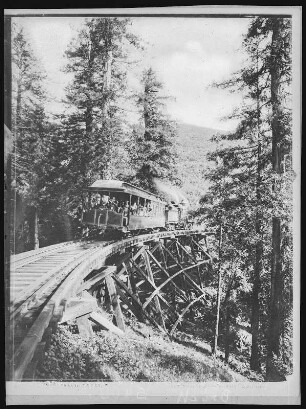 Mill Valley. On the way up Mt. Tamalpais, on the "Crookedest Railroad in the World" (1896)
