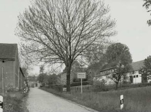 Straße, Naundorf