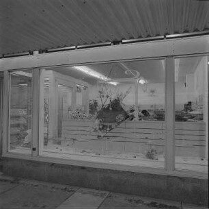 Schuhhof. Schaufenster, bei Ausschreitungen nach einem Fußballspiel am 20.03.1991 eingeschlagen