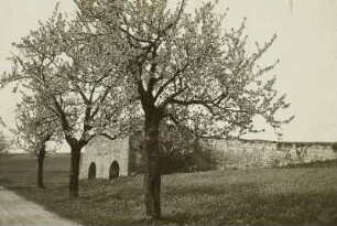 Nentmannsdorf, Kalkofen