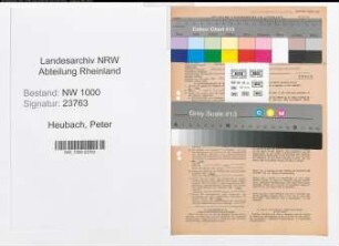 Entnazifizierung Peter Heubach, geb. 04.12.1901 (Verm.Techniker)