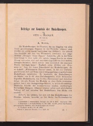 Beiträge zur Kenntnis der Muskelknospen