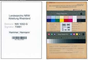 Entnazifizierung Hermann Hammer, geb. 07.04.1903 (Zimmermann)
