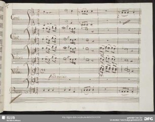Cavatina: Piango il ben così